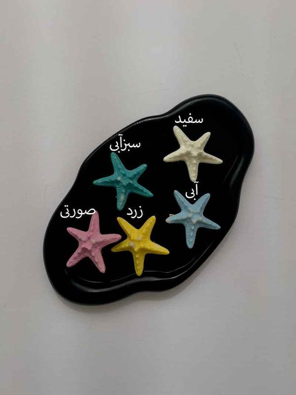 گیره انبری ستاره دریاییgb207