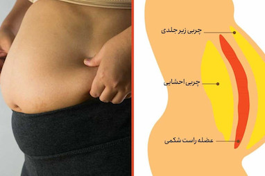کپسول گیاهی همراه همیشگی سلامتی و تناسب اندام