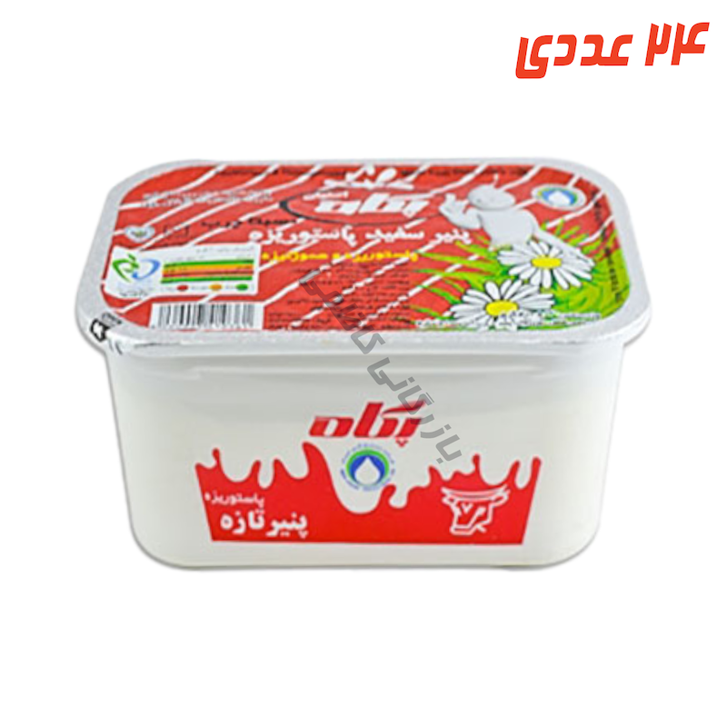 پنیر سفید 400 گرم پگاه