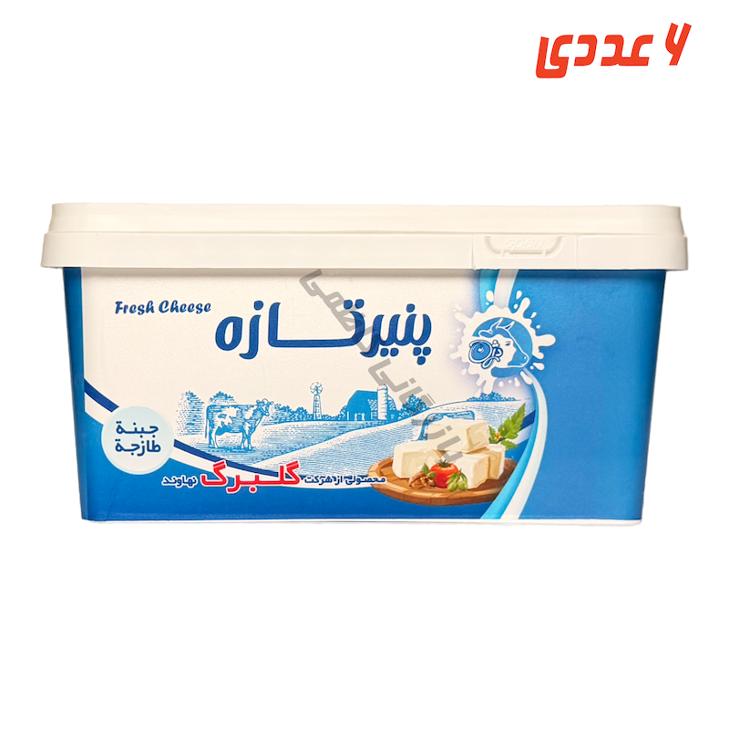 پنیر سفید دژن 800 گرم گلبرگ