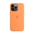 قاب سیلیکونی پاک کنی Iphone 13pro