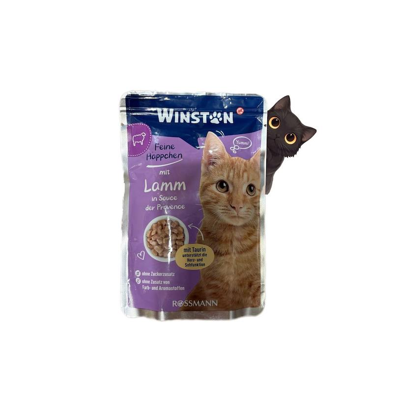 پوچ گربه وینستون طعم گوشت بره 100 گرم
