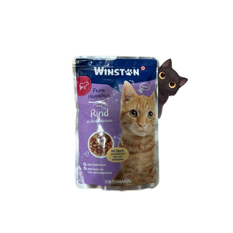 پوچ گربه وینستون طعم گوشت گاو 100 گرم