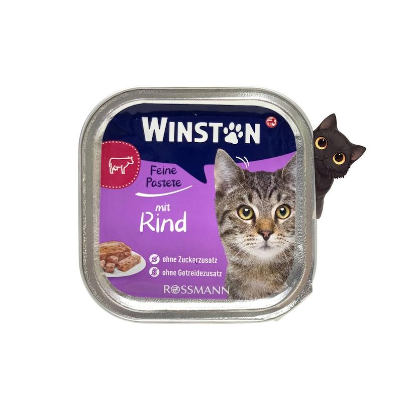 ووم گربه وینستون طعم گوشت گاو 100 گرم