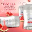 ضدتعریق کلینیکال سکرت مدل Invisible Solid Watermelon Fizz