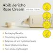 کرم مغذی ، ضدپیری و آبرسان جریکو رز ابیب | Abib Jericho Rose Crème Nutrition Tube
