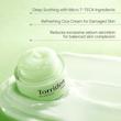 کرم ژل تسکین‌دهنده و ترمیم‌کننده سیکا توریدن | Torriden Balanceful Cica Cream