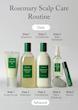 شامپو لایه‌بردار و پاک‌کننده پوست سر رزماری آروماتیکا | AROMATICA Rosemary Scalp Scaling Shampoo