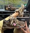 کتونی ونس NEW BALANCE ترند روز