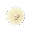 سرم تسکین‌دهنده و یکدست‌کننده پوست اوردینری با آلوئه‌ورا و NAG  Product Name: The Ordinary Aloe 2% + NAG 2% Solution