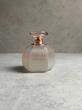 عطر ادکلن لالیک روه د اینفینی | Reve d'Infini Lalique