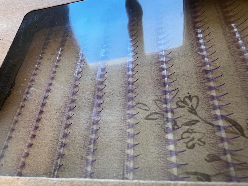 پک بنفش اسلش