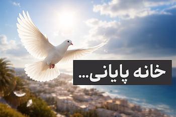 پرنده در حال پرواز