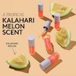 لیپ اویل فنتی رنگ Kalahari melon