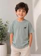 تیشرت پسرانه zara_گربه ای