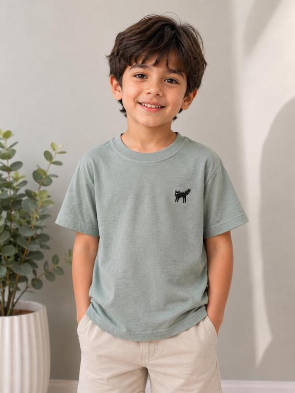 تیشرت پسرانه zara_گربه ای