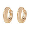 گوشواره حلقه ای زنانه ژوپینگ مدل AAC1159