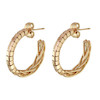 گوشواره زنانه ژوپینگ مدل AAC1060