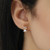 گوشواره زنانه ژوپینگ مدل تدی کد AAC730