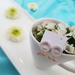 گوشواره زنانه ژوپینگ مدل پاپیون کد AAC18