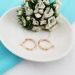 گوشواره حلقه‌ای زنانه ژوپینگ مدل AAC1