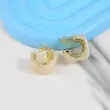 گوشواره میخی زنانه مدل رزینی کد AAC1604