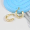 گوشواره میخی زنانه مدل رزینی کد AAC1603