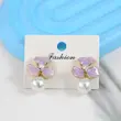 گوشواره میخی زنانه مدل میناکاری کد AAC1597