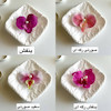 انبری ارکیده