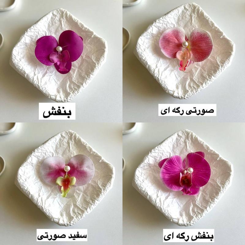 انبری ارکیده