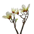 گل مصنوعی ماگنولیا لمسی 5 گل