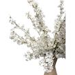 شاخه گل شکوفه مصنوعی وارداتی سفید