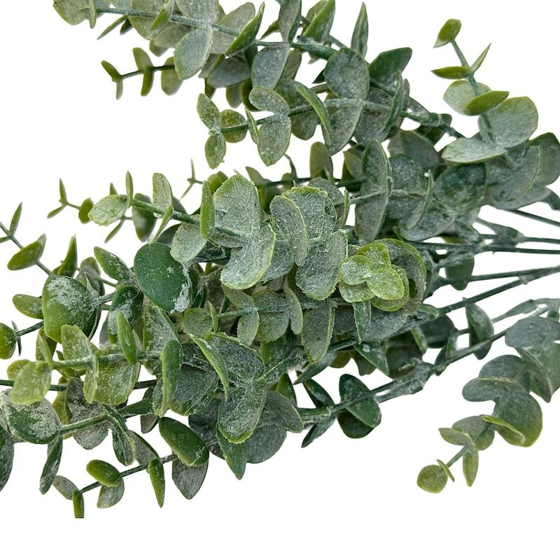 گل اکالیپتوس برفی 