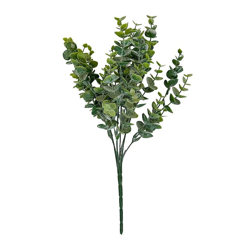 گل اکالیپتوس برفی 