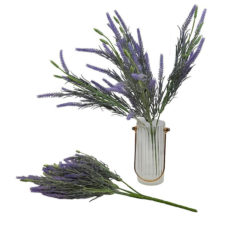 بوته لوندر وارداتی 