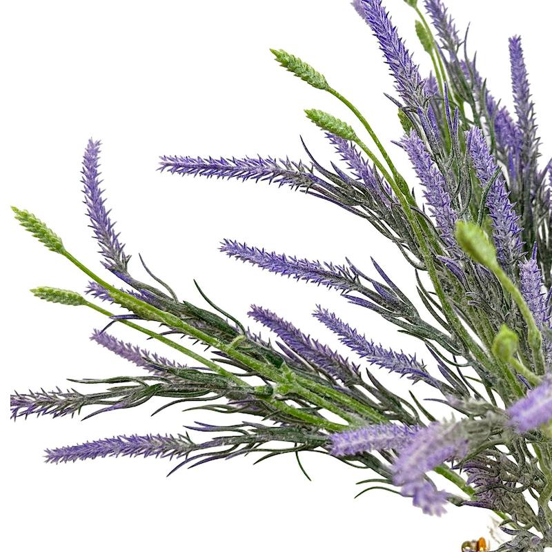 بوته لوندر وارداتی 