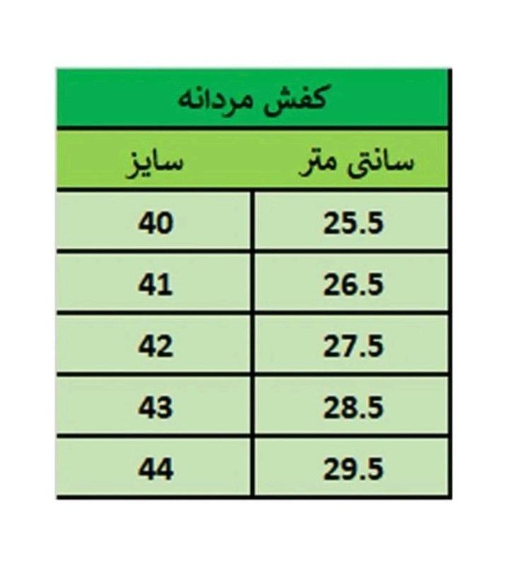 کفش جدید مردانه مدل آرش🪾