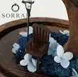 درختچه هورتانزیا جاودان / آبی