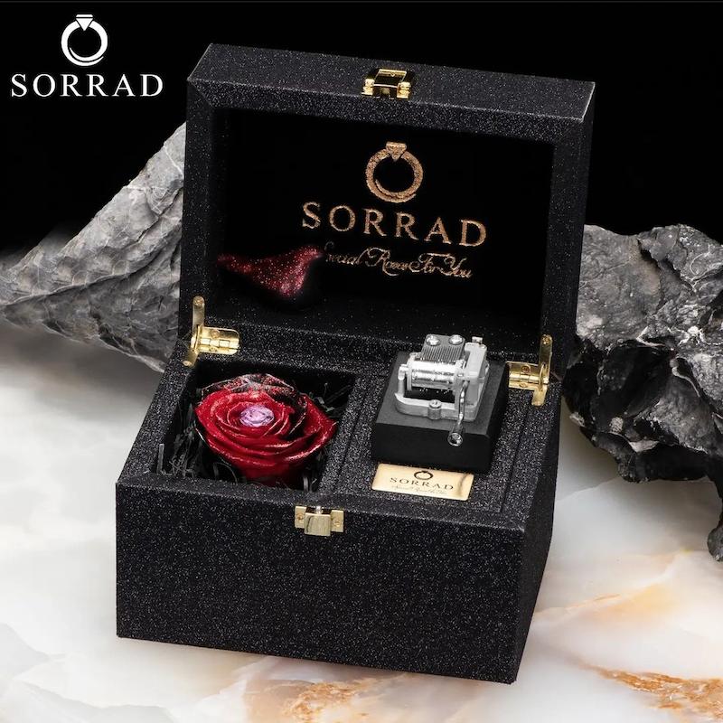 باکس موزیکال کهکشانی دو خونه / گل رز جاویدان رنگ مشکی-قرمز