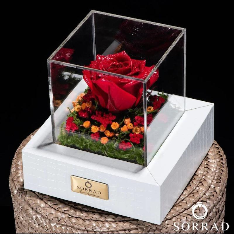 باکس چرمی سفید / گل رز قرمز کهکشانی