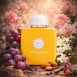 عطر ادکلن آمواج سان شاین زنانه | Amouage Sunshine for Women