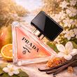 عطر ادکلن پرادا پارادوکس | Prada Paradoxe