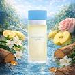 عطر ادکلن دولچه گابانا لایت بلو زنانه | Dolce Gabbana Light Blue Woman
