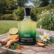 عطر ادکلن کرید اورجینال وتیور | Creed Original Vetiver