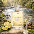 عطر ادکلن آمواج بیچ هات من | Amouage Beach Hut Man
