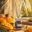 خوشبو کننده هوا سراد مدل Tropical Mango