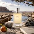 عطر ادکلن هرمس تق د هرمس او ژیوره | Hermes Terre d'Hermes Eau Givree