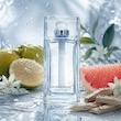 عطر ادکلن دیور هوم کلون | Dior Homme Cologne