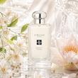 عطر ادکلن جو مالون لندن واتر لیلی کلون | Jo Malone London Waterlily Cologne