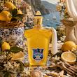 عطر ادکلن کازاموراتی زرجف دولچه آمالفی | Xerjoff Casamorati Dolce Amalfi